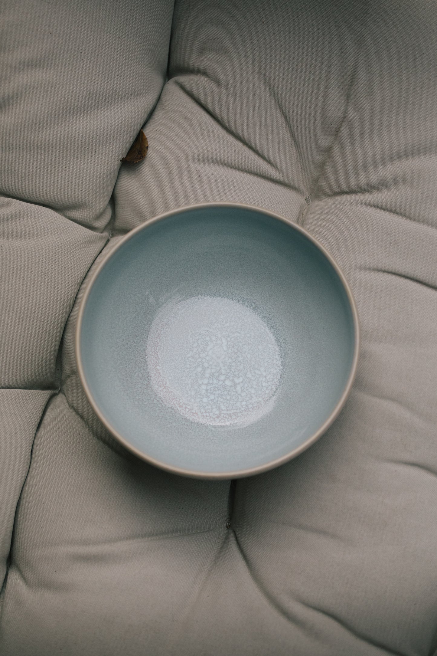 Müslischüssel | Agave